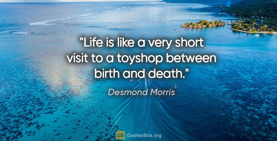 Desmond Morris quote: "Life is like a very short visit to a toyshop between birth and..."