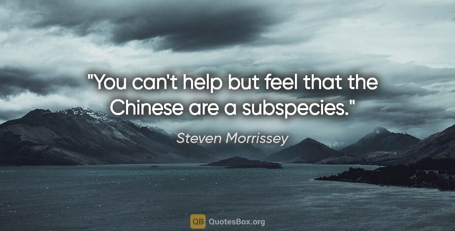 Steven Morrissey quote: "You can't help but feel that the Chinese are a subspecies."
