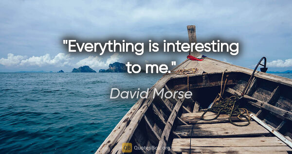 David Morse quote: "Everything is interesting to me."