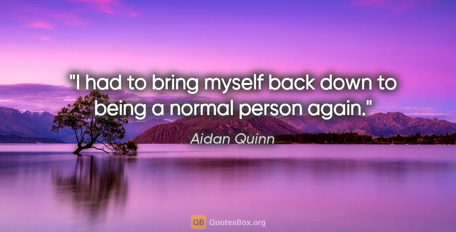 Aidan Quinn quote: "I had to bring myself back down to being a normal person again."