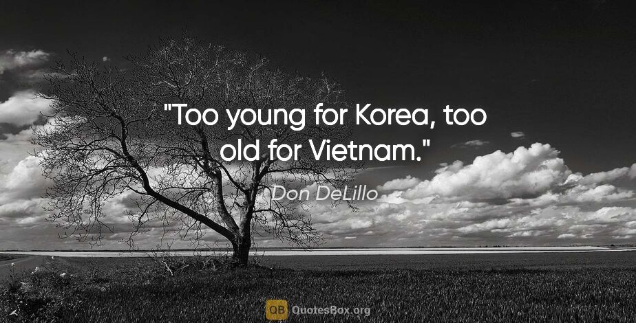 Don DeLillo quote: "Too young for Korea, too old for Vietnam."