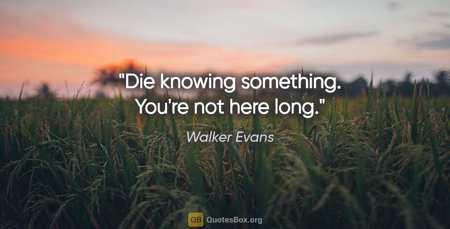 Walker Evans quote: "Die knowing something. You're not here long."