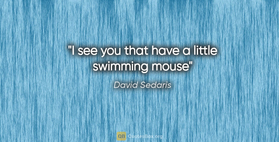 David Sedaris quote: "I see you that have a little swimming mouse"