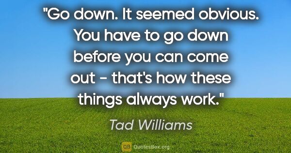 Tad Williams quote: "Go down." It seemed obvious. "You have to go down before you..."