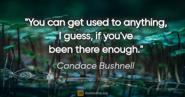 Candace Bushnell quote: "You can get used to anything, I guess, if you've been there..."