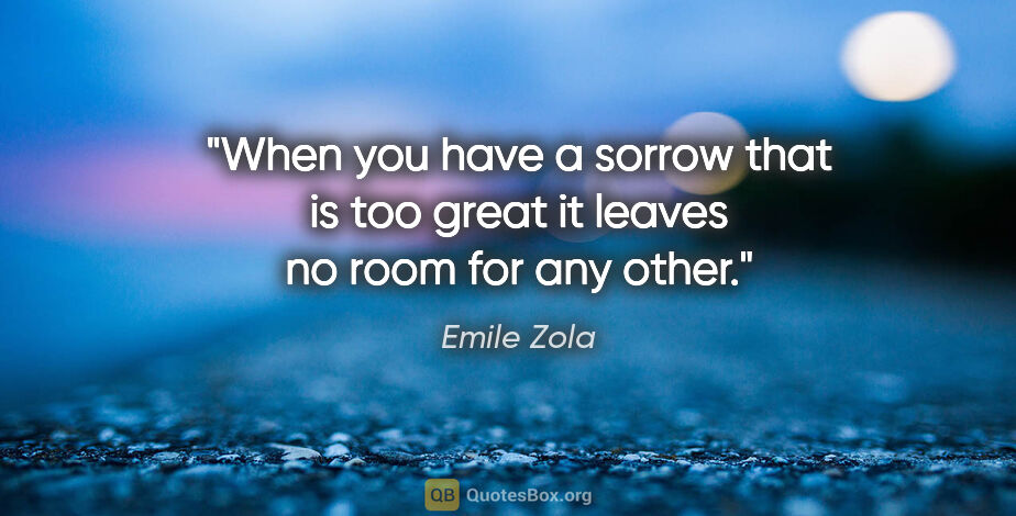 Emile Zola quote: "When you have a sorrow that is too great it leaves no room for..."