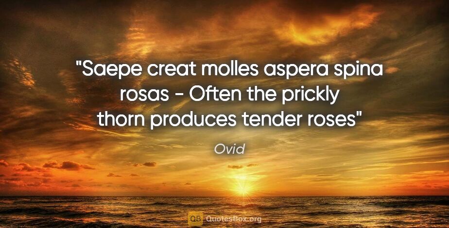 Ovid quote: "Saepe creat molles aspera spina rosas" - "Often the prickly..."