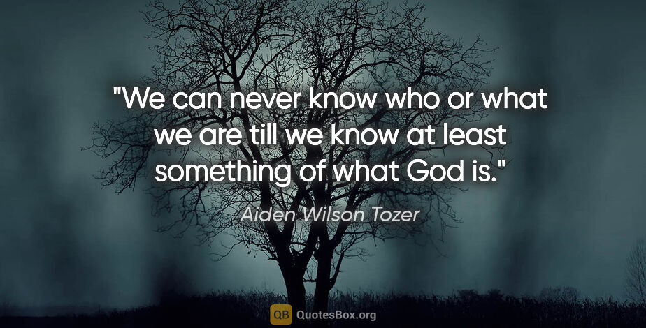 Aiden Wilson Tozer quote: "We can never know who or what we are till we know at least..."