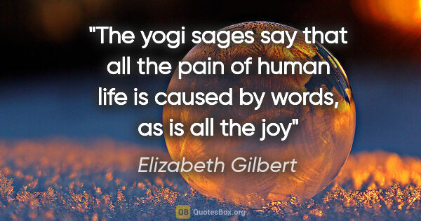 Elizabeth Gilbert quote: "The yogi sages say that all the pain of human life is caused..."