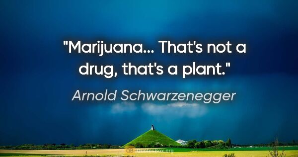 Arnold Schwarzenegger quote: "Marijuana... That's not a drug, that's a plant."