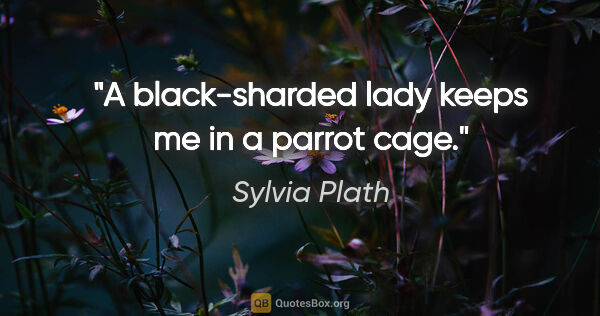 Sylvia Plath quote: "A black-sharded lady keeps me in a parrot cage."