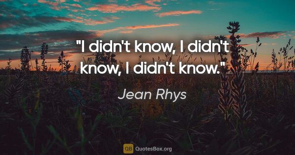 Jean Rhys quote: "I didn't know, I didn't know, I didn't know."