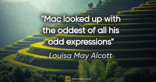 Louisa May Alcott quote: "Mac looked up with the oddest of all his odd expressions"