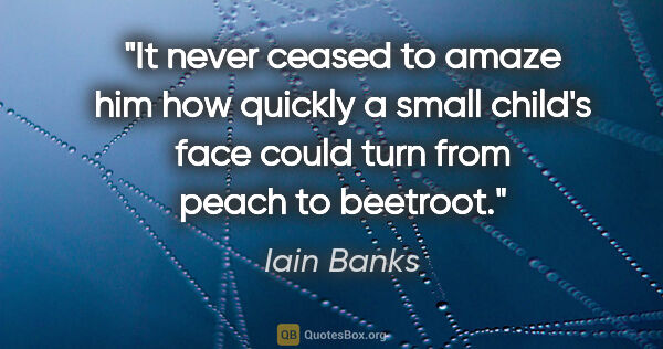 Iain Banks quote: "It never ceased to amaze him how quickly a small child's face..."