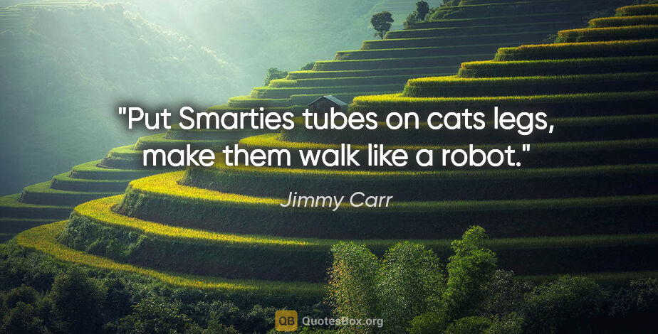 Jimmy Carr quote: "Put Smarties tubes on cats legs, make them walk like a robot."