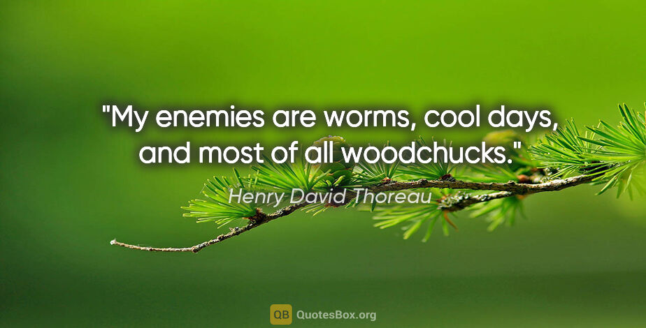 Henry David Thoreau quote: "My enemies are worms, cool days, and most of all woodchucks."