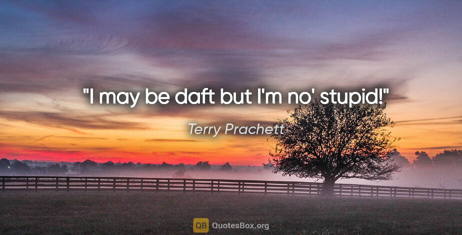 Terry Prachett quote: "I may be daft but I'm no' stupid!"