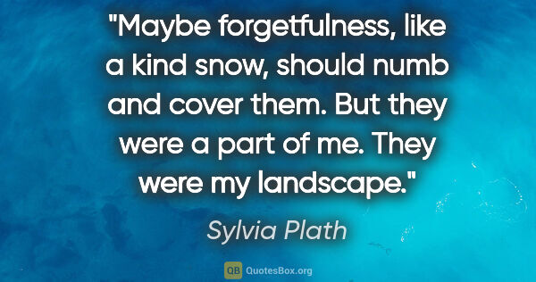 Sylvia Plath quote: "Maybe forgetfulness, like a kind snow, should numb and cover..."