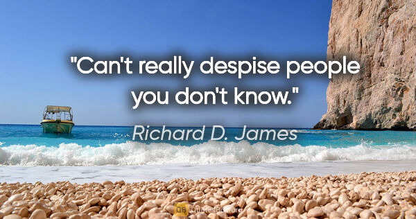 Richard D. James quote: "Can't really despise people you don't know."