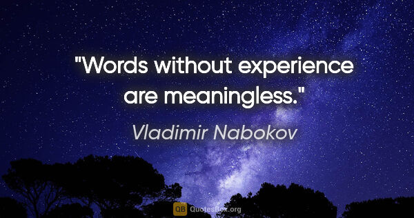 Vladimir Nabokov quote: "Words without experience are meaningless."