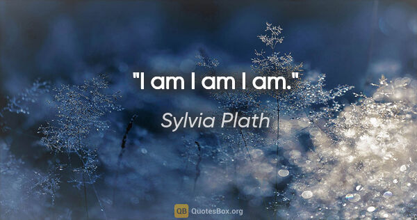 Sylvia Plath quote: "I am I am I am."