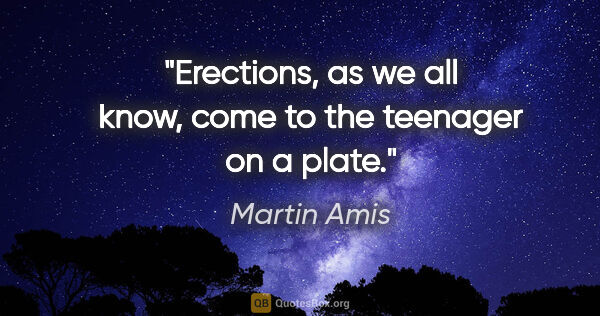 Martin Amis quote: "Erections, as we all know, come to the teenager on a plate."