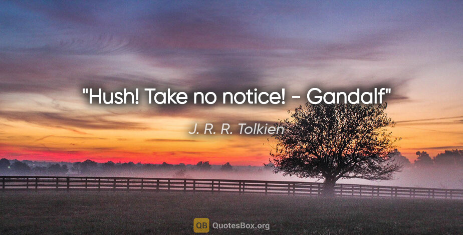 J. R. R. Tolkien quote: "Hush! Take no notice!" - Gandalf"