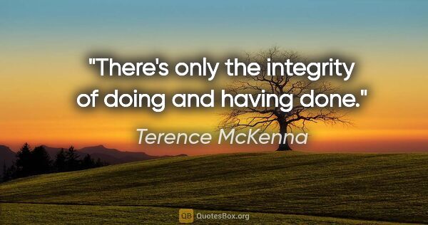 Terence McKenna quote: "There's only the integrity of doing and having done."