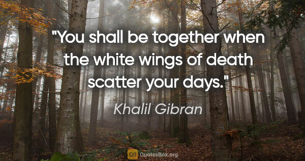 Khalil Gibran quote: "You shall be together when the white wings of death scatter..."