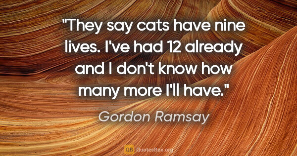 Gordon Ramsay quote: "They say cats have nine lives. I've had 12 already and I don't..."