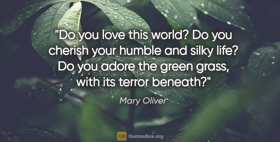 Mary Oliver quote: "Do you love this world? Do you cherish your humble and silky..."