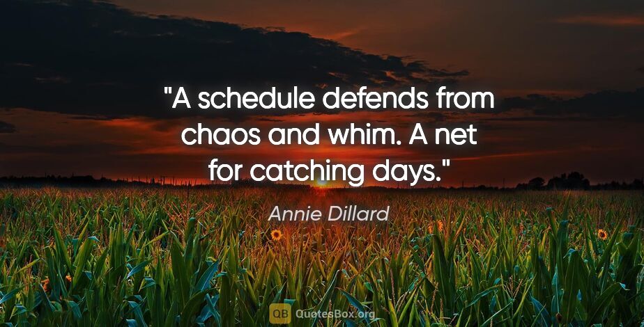Annie Dillard quote: "A schedule defends from chaos and whim. A net for catching days."