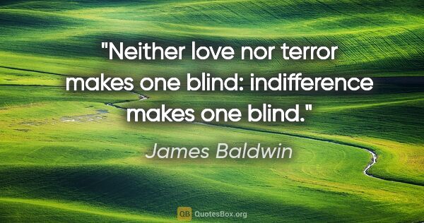 James Baldwin quote: "Neither love nor terror makes one blind: indifference makes..."