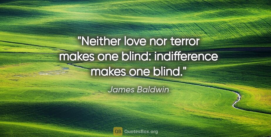 James Baldwin quote: "Neither love nor terror makes one blind: indifference makes..."