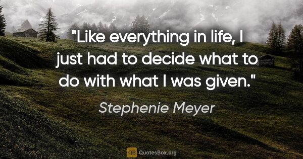 Stephenie Meyer quote: "Like everything in life, I just had to decide what to do with..."