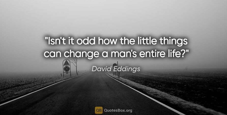 David Eddings quote: "Isn't it odd how the little things can change a man's entire..."