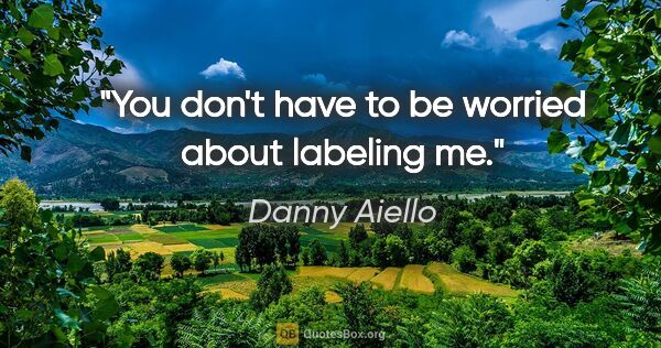 Danny Aiello quote: "You don't have to be worried about labeling me."