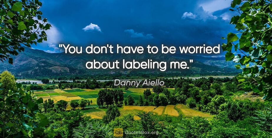 Danny Aiello quote: "You don't have to be worried about labeling me."