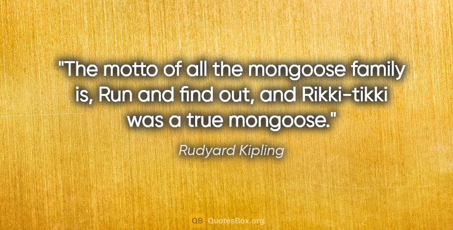 Rudyard Kipling quote: "The motto of all the mongoose family is, "Run and find out,"..."