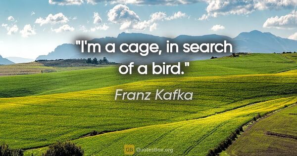 Franz Kafka quote: "I'm a cage, in search of a bird."