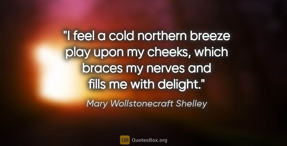 Mary Wollstonecraft Shelley quote: "I feel a cold northern breeze play upon my cheeks, which..."