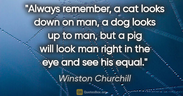 Winston Churchill quote: "Always remember, a cat looks down on man, a dog looks up to..."