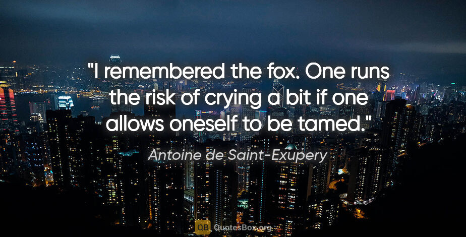 Antoine de Saint-Exupery quote: "I remembered the fox. One runs the risk of crying a bit if one..."