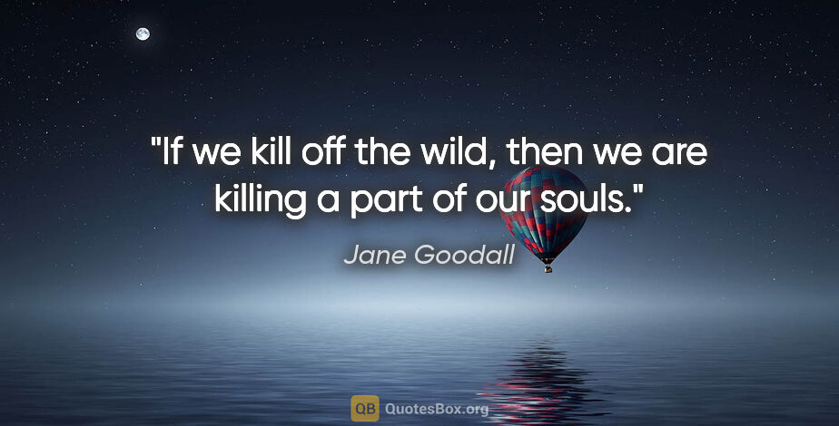 Jane Goodall quote: "If we kill off the wild, then we are killing a part of our souls."