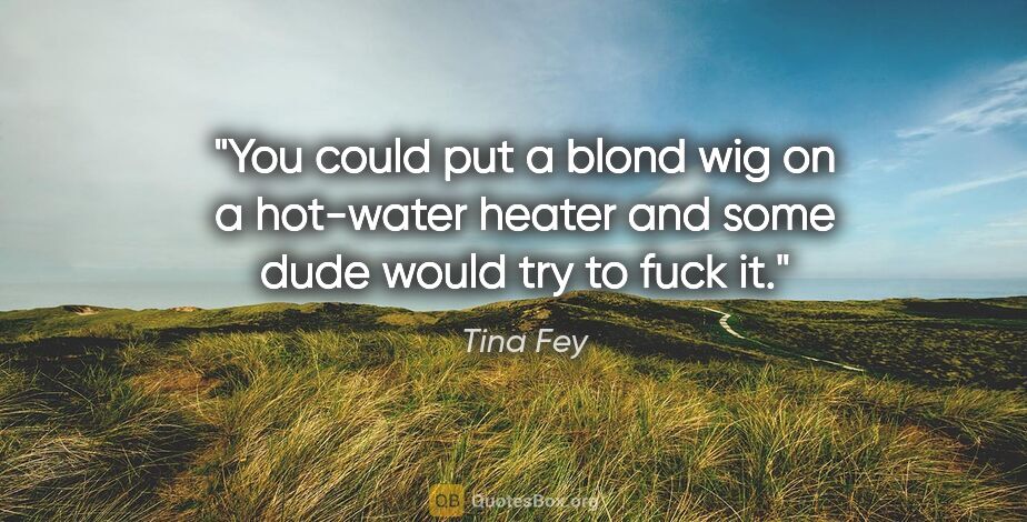 Tina Fey quote: "You could put a blond wig on a hot-water heater and some dude..."