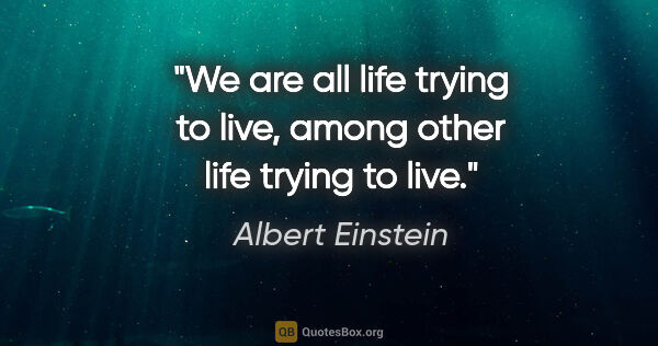 Albert Einstein quote: "We are all life trying to live, among other life trying to live."