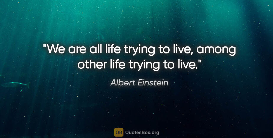 Albert Einstein quote: "We are all life trying to live, among other life trying to live."