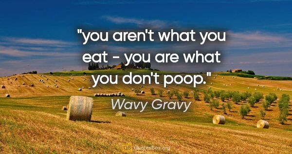Wavy Gravy quote: "you aren't what you eat - you are what you don't poop."