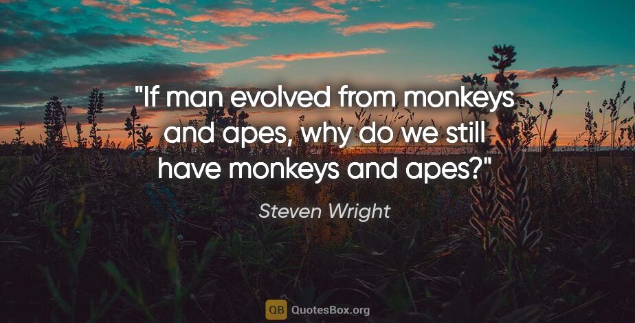 Steven Wright quote: "If man evolved from monkeys and apes, why do we still have..."