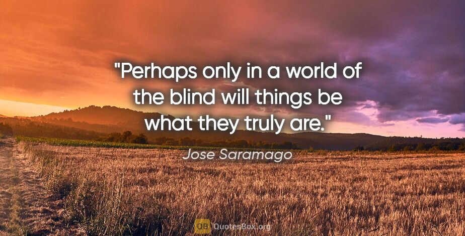 Jose Saramago quote: "Perhaps only in a world of the blind will things be what they..."